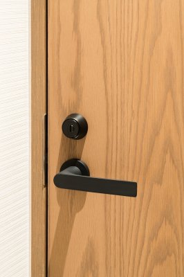 画像5: UL780-505　ユニオン　プレガノ　ホテル客室ドア用　レバーハンドル　室内建具 引戸/開扉　レバーハンドル＋専用プレート（内外用各1個、錠前含まず） (5)