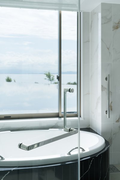 画像2: ユニオン　PRE-G700-001-　プレガノ　シャワーブースハンドル　ホテル客室用金物　サニタリー バス　1セット（内外） (2)