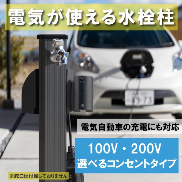 画像2: GPL22BB　水生活製作所　ガーデンポール　PRIZMII LE（ブラック 100V） (2)