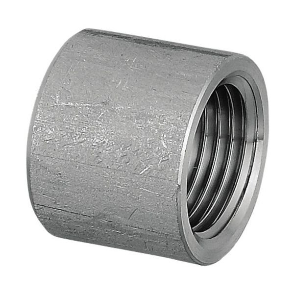 画像1: SFHS　オンダ製作所　ステンレス　ハーフソケット　304系　（テーパねじ） (1)