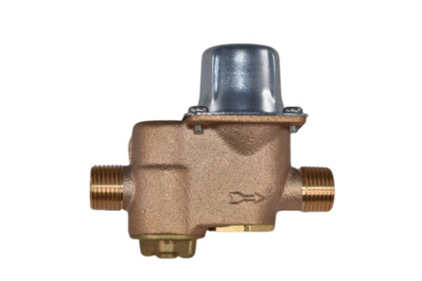 画像1: RJ1542ZZ  15A減圧弁　逆止弁付、ストレーナ付【ダンレイ】旧RW41A-SH6【納期2週間】 (1)