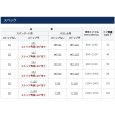 画像4: ニュースター P-183A ドアクローザー パラレル型 段付ブラケット ホワイト仕様 NEW STAR (4)