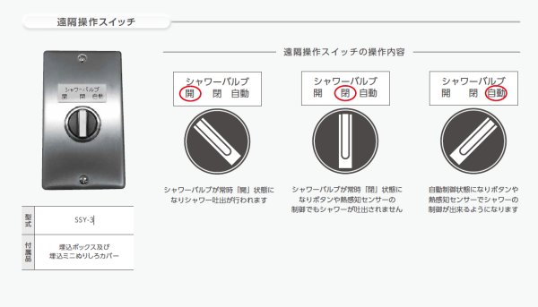画像2: SSY-3 ダイレオ プール用　遠隔操作スイッチ (2)