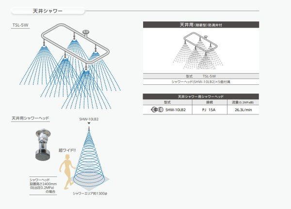 画像2: TSL-5W ダイレオ プール用天井隠蔽型シャワー (防滴弁付・シャワーヘッド5個付) (2)