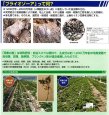 画像4: 阿寒の恵 とけるカルシウム 20kg 堀木工所 天然貝化石100% 土壌改良材 有機JAS適合 (4)