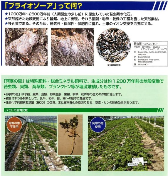 画像4: 阿寒の恵 とけるカルシウム 20kg 堀木工所 天然貝化石100% 土壌改良材 有機JAS適合 (4)