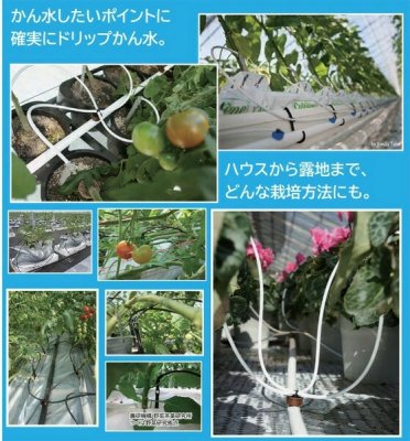 画像6: DC7E-BT25【株式会社サンホープ】電池式 かん水タイマー  (6)