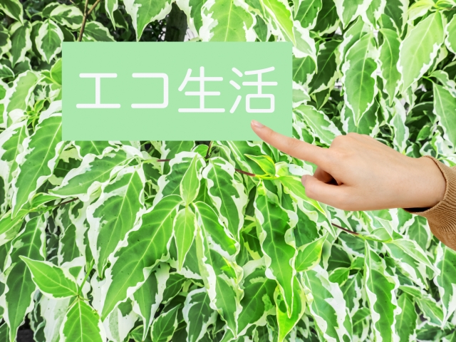 ホテル・テーマパークの設備担当者様へ!今週の注目ニュースから見る「感動」と「サステナビリティ」の未来