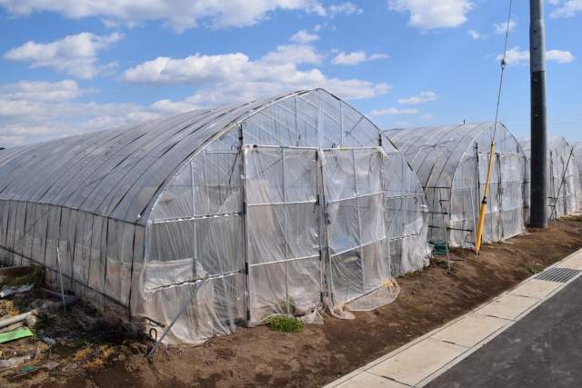 【ONLINEJP】農家さんの「困った」を解決！2025年も安心な「壊れにくい水回り」の選び方