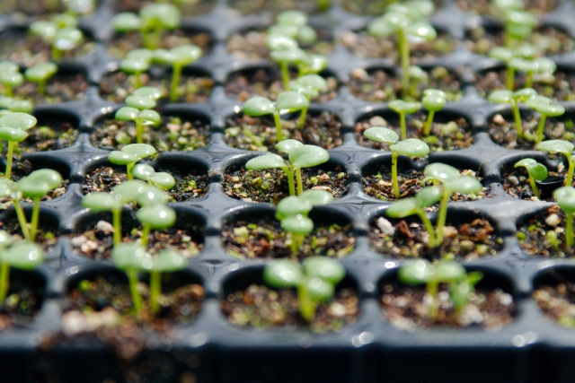 【2026年3月最新】農業も「軍略」で勝つ時代へ。iPhone17e発表やガソリン値上げに負けない、春の灌漑システム・アップデート術